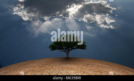 Surrealismus. Grüner Baum in den trockenen Land. Lichtstrahlen kommt durch die Wolken. Stockfoto