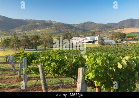 Ben Ean Weingut, Hunter Valley, New South Wales, Australien Stockfoto