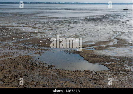 Saint Nazaire, der Strand bei Ebbe. Frankreich Stockfoto