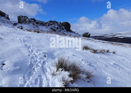 Kuh & Kalb Felsen auf Ilkley Moor, West Yorkshire, wie das Tier aus dem Osten kommen Störungen auf dem Land Stockfoto