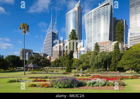 Royal Botanic Gardens und Wolkenkratzer, Sydney, New South Wales, Australien Stockfoto