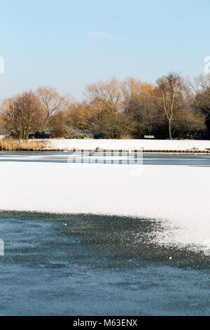 Gefrorener Goldsworth Park Lake in Woking, Surrey, Großbritannien. 28.. Februar 2018. UK Wetter: Gefrieren Vögel auf Eis bei ungewöhnlichen Winterwetter. Quelle: Tom Krok/Alamy Live News Stockfoto