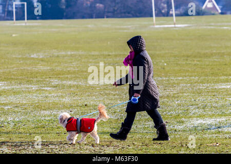 Northampton, England. 28 Feb, 2108. UK Wetter: Temperaturen in-2 heute Morgen mit einem leichten Abstauben des Schnees für die Leute ihre Hunde in Abington Park gegen den bitter kalten Brise gewickelt. Credit: Keith J Smith./Alamy leben Nachrichten Stockfoto