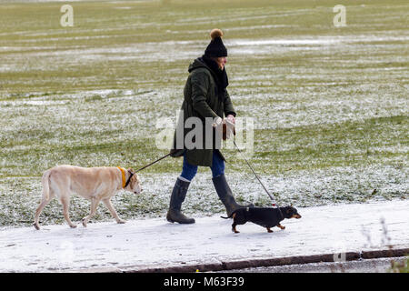 Northampton, England. 28 Feb, 2108. UK Wetter: Temperaturen in-2 heute Morgen mit einem leichten Abstauben des Schnees für die Leute ihre Hunde in Abington Park gegen den bitter kalten Brise gewickelt. Credit: Keith J Smith./Alamy leben Nachrichten Stockfoto