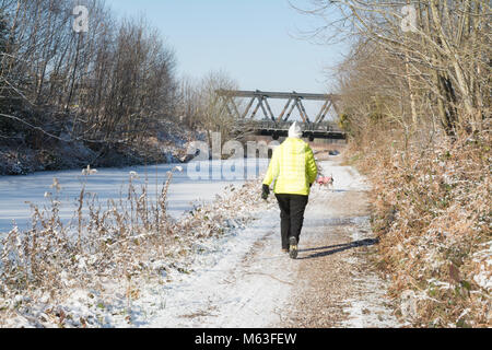 Frau, die ihren Hund entlang der Basingstoke Canal Towpath im Schnee, Großbritannien Stockfoto