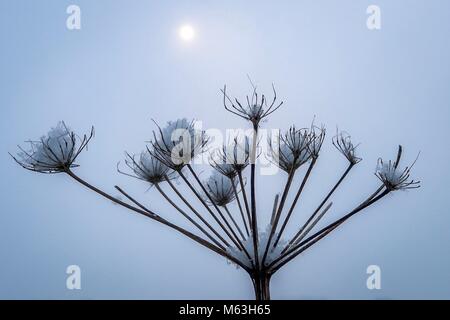 Sawbridgeworth, Hertfordshire, Großbritannien. 28 Feb, 2018. Schnee landet in Sawbridgeworth - England - Hertfordshire - Sawbridgeworth - Fluss Stort - 20180228 - Fotograf Credit: Brian Duffy/Alamy leben Nachrichten Stockfoto