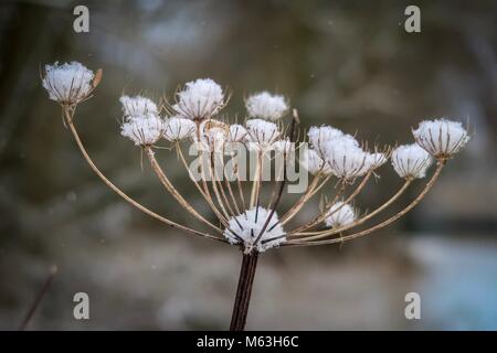 Sawbridgeworth, Hertfordshire, Großbritannien. 28 Feb, 2018. Schnee landet in Sawbridgeworth - England - Hertfordshire - Sawbridgeworth - Fluss Stort - 20180228 - Fotograf Credit: Brian Duffy/Alamy leben Nachrichten Stockfoto