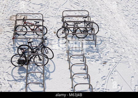 Fahrräder im Schnee, London, England, Vereinigtes Königreich, Großbritannien Stockfoto