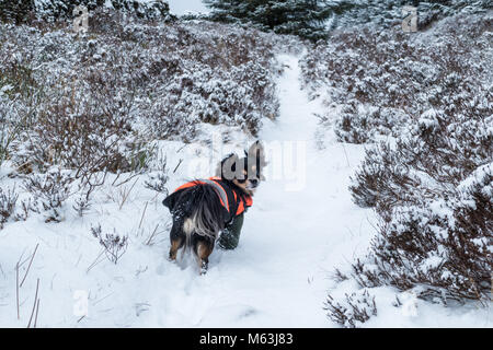 Longridge fiel. Lancashire, UK. 28 Feb, 2018. UK Wetter: Schnee bedeckt die Landschaft im Wald von Bowland in Lancashire. Das Tier aus dem Osten weiterhin noch mehr Schnee duschen Wirkung der Gegend. Die Temperaturen sind ein sehr kalt minus 5 Grad Celsius auf der fiel, nachbearbeiten warm ist ein Muss der Sibirischen Wetter an der Bucht zu halten. Credit: Gary Telford/Alamy leben Nachrichten Stockfoto