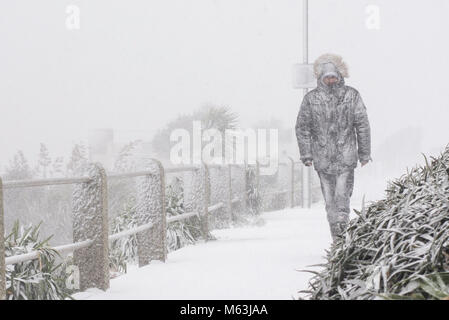 Gyllyngvase Beach, Falmouth, Cornwall, UK. 28 Feb, 2018. UK Wetter. Schnee am Strand. Wandern Sie an der Küste der Falmouth im Schnee. 28. Februar 2018 Credit: LLE Fotografie/Alamy leben Nachrichten Stockfoto