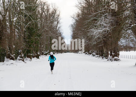 Celbridge, Kildare, Irland. 28 Feb 2018: Irland Wetter. Tier aus dem Osten hits irische Städte. Starker Schneefall in Celbridge. Frau jugging im Schnee mit ihrem Hund. Stockfoto