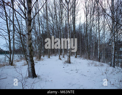 Edinburgh, Schottland, Großbritannien. 28. Februar, 2018. Ein Foto von der Schnee auf dem Boden während der Rote Alarm Wetter Warnung gefallen. Credit: Iscotlanda/Alamy leben Nachrichten Stockfoto