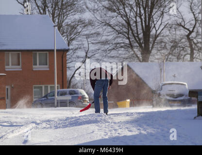 Dundee, Schottland, Großbritannien. Am 28. Februar, 2018. UK Wetter. Die sibirische Tier kommt über Nord-östlich von Schottland mit schweren Schnee fällt und stürmischen kalten Winde über Dundee fegen. Frost aus Serbien als "das Tier aus dem Osten' bekannt. Ein Mann Clearing der Schnee weg von seiner Fahrstraße im Ardler Dorf. Credits: Dundee Photographics/Alamy leben Nachrichten Stockfoto