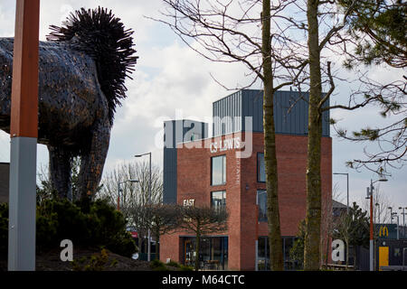 Aslan lion Skulptur Ostseite Besucherzentrum und cs lewis Square in connswater in Ost Belfast Nordirland Stockfoto