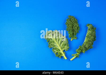 Kreatives Layout von Kale verlässt auf blauem Hintergrund Stockfoto