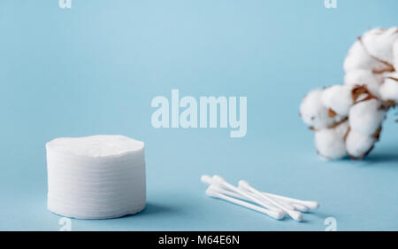 Getrocknete weiße flauschige Baumwolle Blume Wattestäbchen und Wattepads auf einem blauen Hintergrund mit Kopie Raum Stockfoto