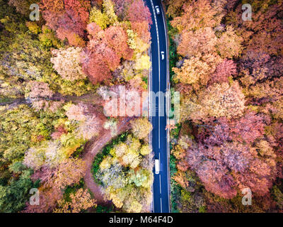 Kurvenreiche Straße durch den Wald in Siebenbürgen, Rumänien Stockfoto