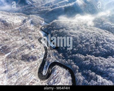 Antenne drone Ansicht einer gekrümmten kurvenreiche Straße durch den Wald hoch oben in den Bergen im Winter mit Schnee bedeckten Bäumen Stockfoto