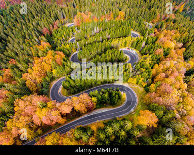 Kurvenreiche Straße in den Bergen in der Mitte der Herbst Stockfoto