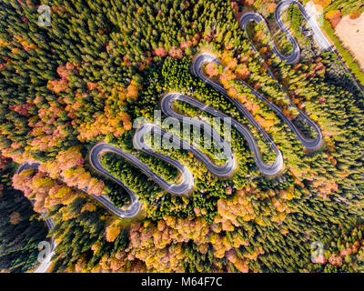 Luftaufnahme von eine kurvenreiche Straße durch den Wald Stockfoto