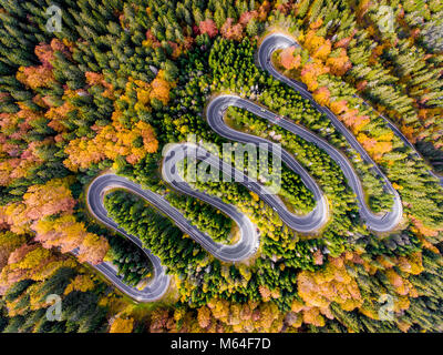 Herbst im Wald kurvenreiche Straße Luftbild Stockfoto