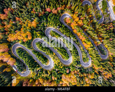 Roadtrip in den Wald im Herbst Stockfoto