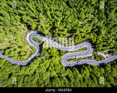 Autos und Lastwagen auf der kurvenreichen Straße durch den Wald, Siebenbürgen, Rumänien Stockfoto