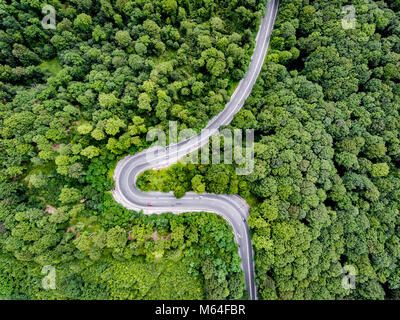 Geschwungene Straße durch den Wald von oben gesehen Stockfoto