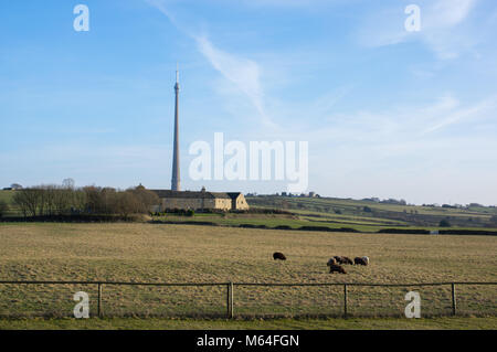 Emley Moor Sendestation, Emley, West Yorkshire, England Stockfoto