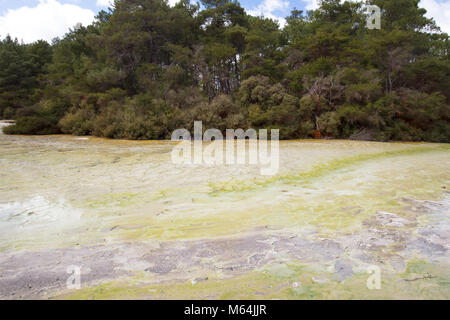 Wai-O-Tapu geologische Besonderheit Stockfoto