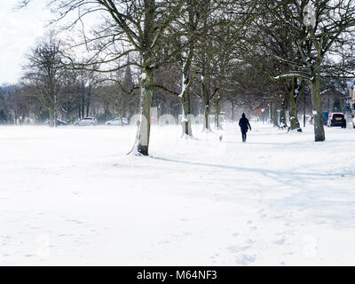 Dog Walker auf der Streu im Schnee in Harrogate, North Yorkshire England Stockfoto