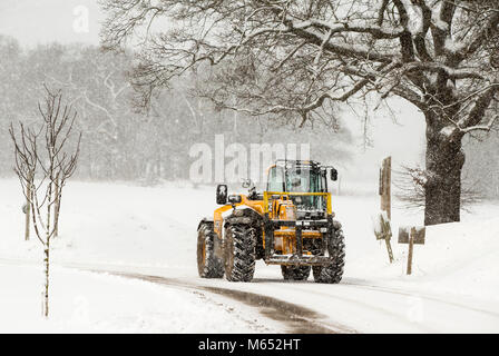 Ein Traktor in Yorkshire Wildlife Park in Doncaster, South Yorkshire, wie schwere Schnee- und Sub-zero Bedingungen haben verdorben Großbritanniens Straßen, Eisenbahnen und Flughäfen, mit Verspätungen und Annullierungen. Stockfoto