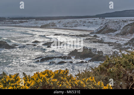 Küste von Moray in Schottland CULLEN BAY IM FEBRUAR WINTER bei starkem Wind und Schnee ÜBER DEN STRAND UND GOLFPLATZ Stockfoto