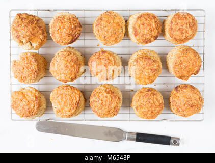 Frisch gebackenen Käse scones Kühlung in einem Draht Fach. Stockfoto