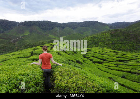 Westliche Frau in orange Outfit unter Tee Felder auf Teeplantagen in den Cameron Highlands, Malaysia. Stockfoto