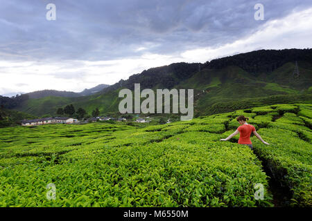 Westliche Frau in orange Outfit unter Tee Felder auf Teeplantagen in den Cameron Highlands, Malaysia. Stockfoto