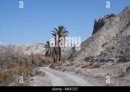 Ansichten von Tabernas Wüste Wildnis, Almeria, Spanien Stockfoto
