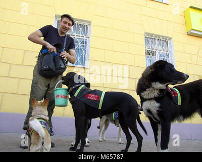 Smolensk, Russland - 15. Juli 2014: Hunde aus dem Tierheim für heimatlose Tiere Geld für öffentliche Rede sammeln Stockfoto