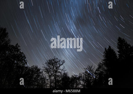 Sternspuren über Holz an einem kalten Winterabend mit Milchstraße scheint durch. Stockfoto