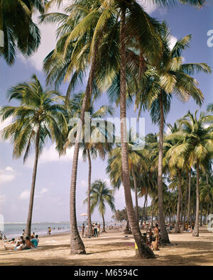 1970 Palmen auf LUQUILLO BEACH PUERTO RICO - kb 7088 HAR 001 HARS UNINCORPORATED Stockfoto