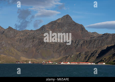 Britisches Territorium, Südgeorgien, King Edward Cove. Meerblick von den historischen Walfang Beilegung von grytviken. Stockfoto