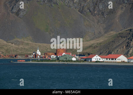 Britisches Territorium, Südgeorgien, King Edward Cove. Meerblick von den historischen Walfang Beilegung von grytviken. Stockfoto