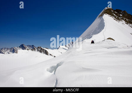 Zwei Bergsteiger auf der nord-westlichen Grat Der Trugberg, mit dem Ewigschneefeld auf der Linken, Berner Oberland, Schweiz Stockfoto