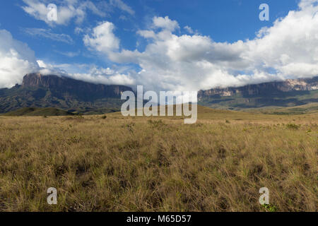 Mount Roraima und Kukenan in Venezuela, Canaima National Park. Stockfoto