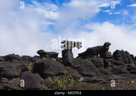 Felsformationen, Kukenan Tepui in der Nähe von Mount Roraima, Canaima National Park. Stockfoto