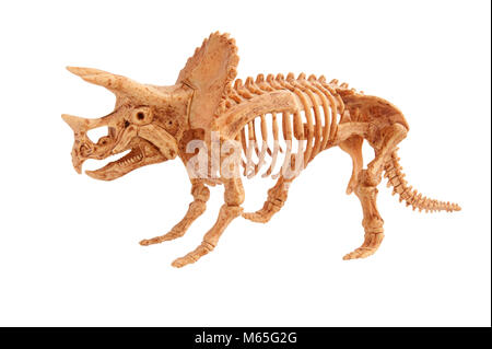 Triceratops Spielzeug isoliert auf weißem Stockfoto