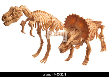Spielzeug Dinosaurier tyrannosaurus Tyrannosaurus und isoliert auf weißem Stockfoto