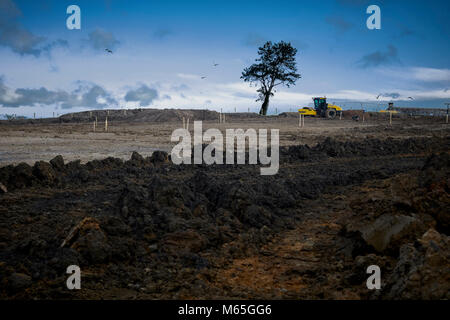 Bauarbeiter versuchen, ein reifer Baum zu speichern, wie Sie die Arbeit an einem Hillcrest Häuser und CPUK Website in Clitheroe, Lancashire beginnen. Stockfoto