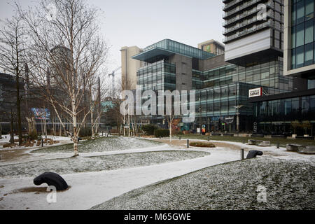 SALFORD QUAYS, MediacityUk Gärten im Schnee vor der BBC und Salford Universität Büros abgedeckt Stockfoto