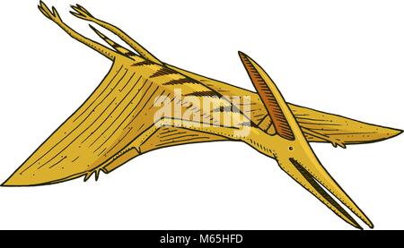 Pterosaur Dinosaurier, Skelette, Fossilien, winged Lizard. Amerikanische prähistorischen Reptilien, Jurassic Tier graviert Hand gezeichnet Vektor. Stock Vektor